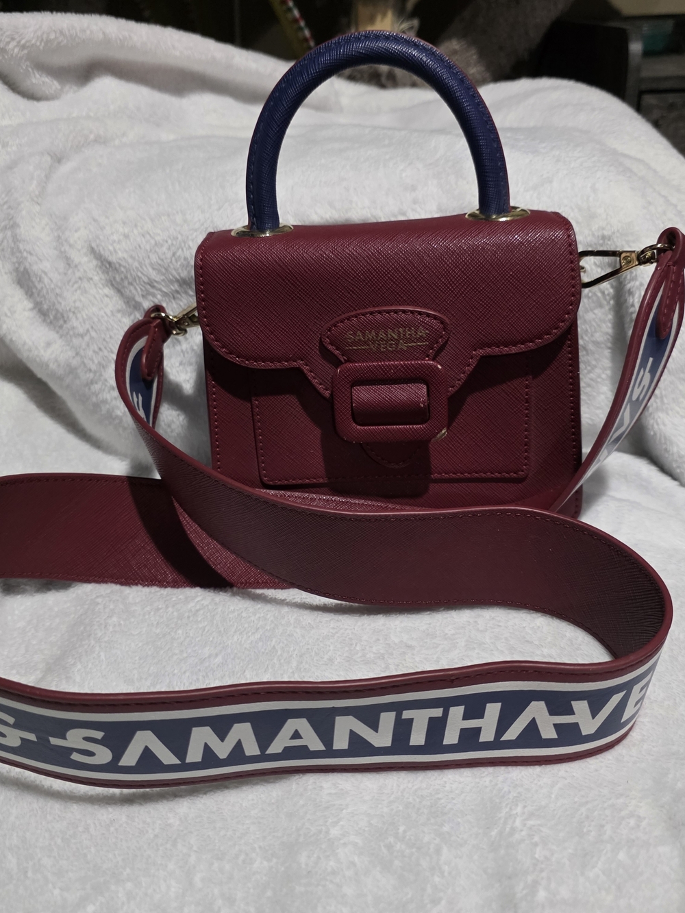 Samantha Vega Burgundy Saffiano Mini Satchel Crossbody Bag